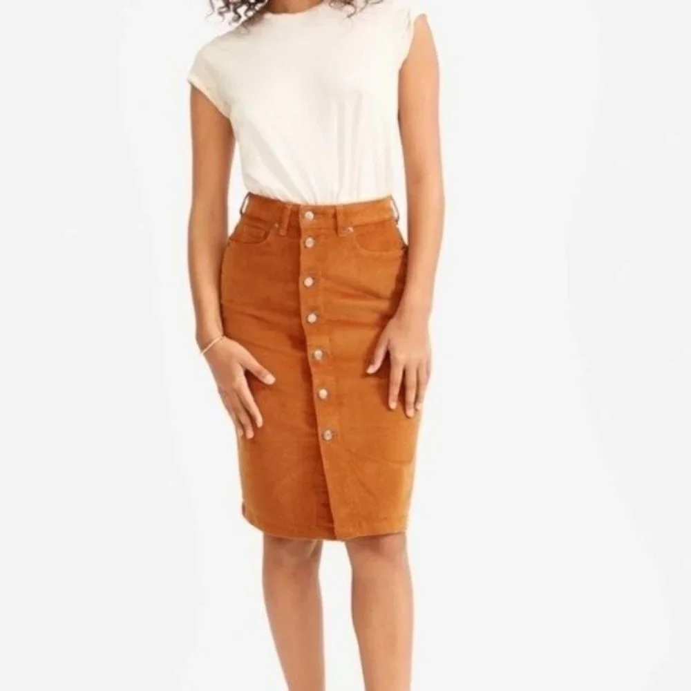 Everlane Skirt